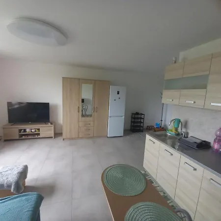 公寓 Vermika Flat 普雷绍夫